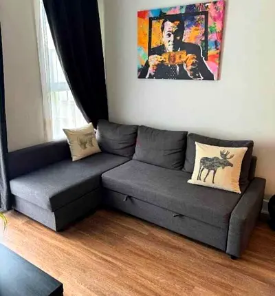 Ikea Gray Friheten L-shaped sofa combed-10/10