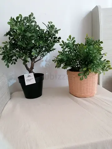 Artificial plants