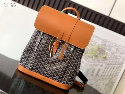 Goyard Alpin monogram backpack 🎒
