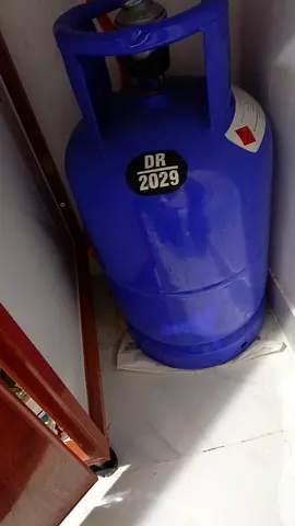 Blue LPG Gas Cylinder (Full/Good Condition) - 2029 Sticker