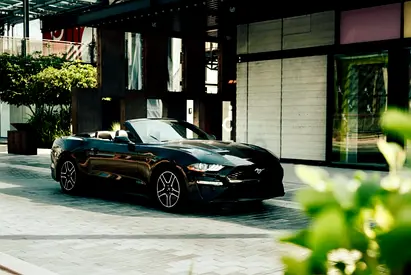 Mustang Eco Boost