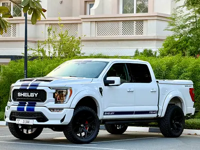 Ford F-Series Pickup Shelby ||| SHELBY CERTIFICATE AVAILABLE ||| Literally Iike brand new |