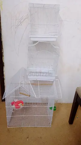 Three white bird cages — assorted sizes, good condition
