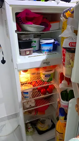 Used Single-Door Upright Refrigerator - Working Condition
