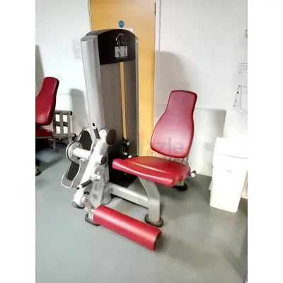 Leg Extension Life Fitness