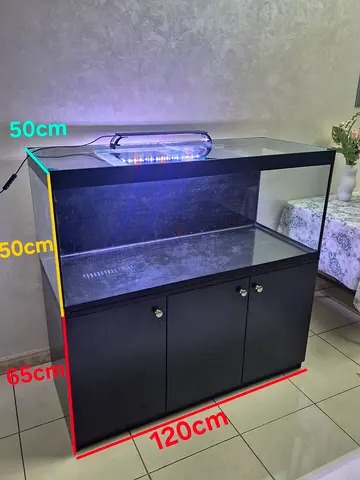 300L turtle/fish tank + cabinet + accessories