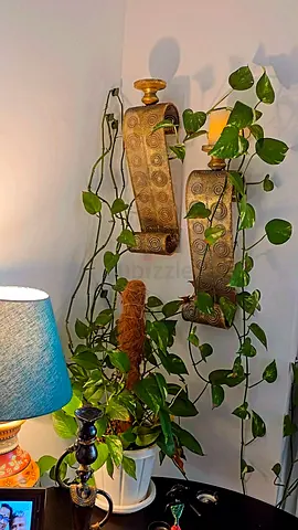 Pair of Decorative Brass Wall Sconces — Vintage Style