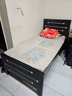 Female for studio apartment