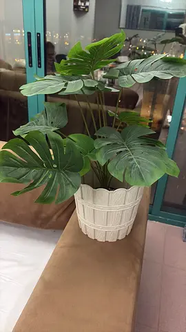 Monstera Artificial Plants