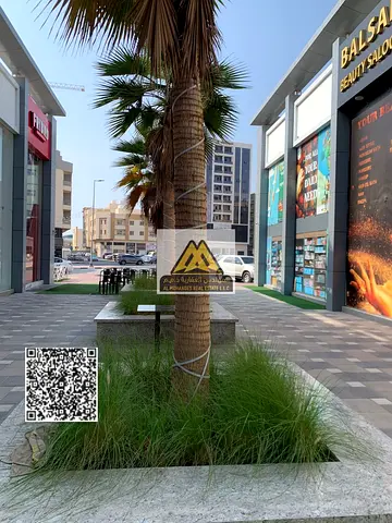 فرصة مميزة لأصحاب المشاريع والاستثمار التجاري في موقع حيوي مناسب لمختلف الأنشطة التجارية، مع توفر حركة نشطة وسهولة الوصول من الطرق الرئيسية.