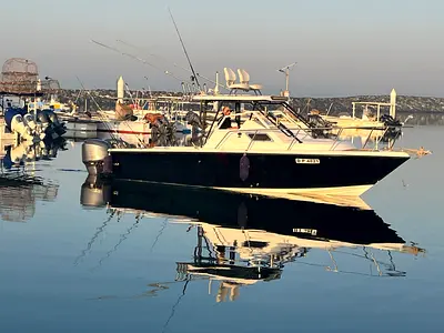 American built Pursuit 2600 twin 250 Yamahas