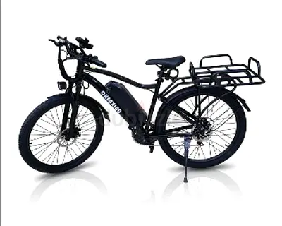 CHENXIAN HX100 Electric Bicycle