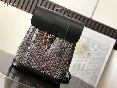Goyard Alpin monogram backpack 🎒
