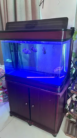 Aquarium