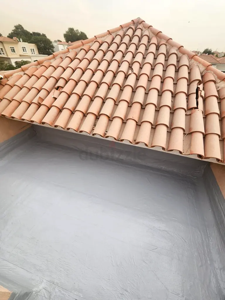 DPV_View_Image_2