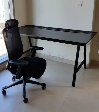PROWORK Ergonomic mesh office chair and IKEA Gaming Desk