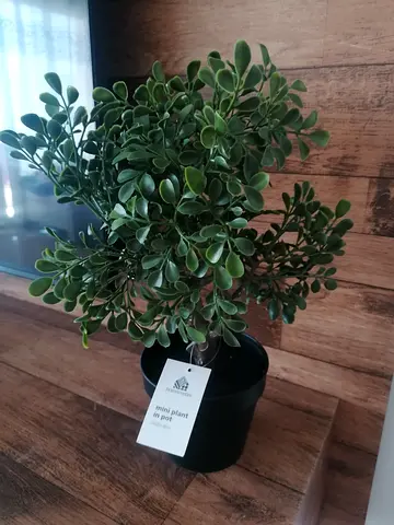 Artificial plant