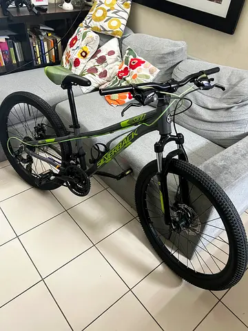 SILVERBACK SKID 24 inch MTB FRONT SUSPENSION (NEWLY SERVICED)
