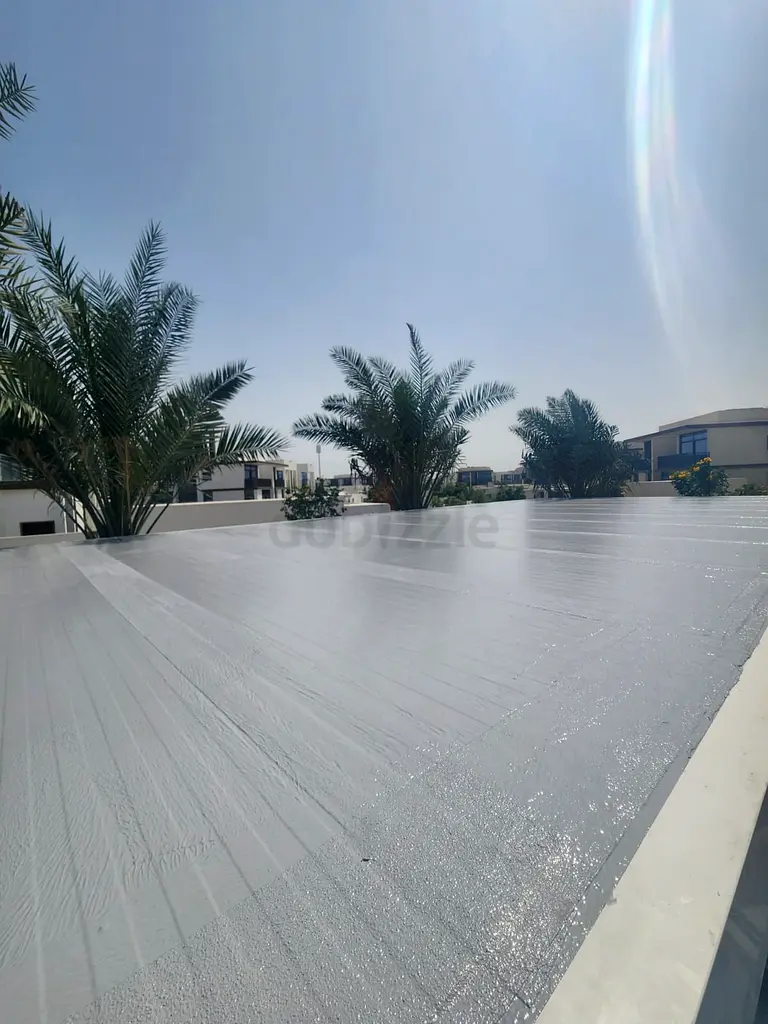 DPV_View_Image_2