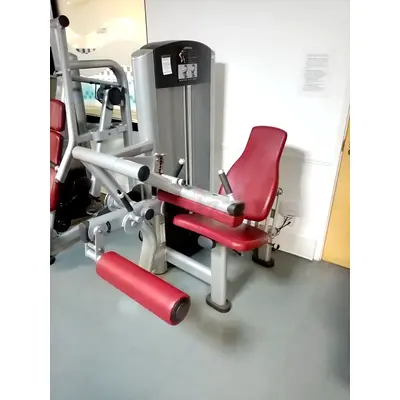 Leg Curl Life Fitness