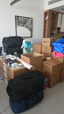 Stress-Free Moving  Packing | Furniture Assembly | 24/7 Professional Team