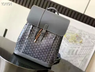 Goyard Alpin monogram backpack 🎒