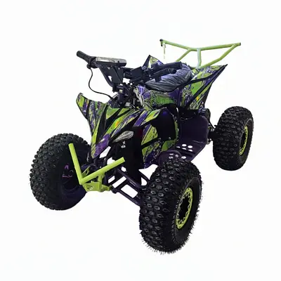 egawheels Nitron Plus 48 V 20 Ah Electric ATV Power off Road Quad Bike 8 Inch With Bluetooth for Tee