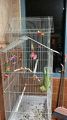 Large bird cage with  - used