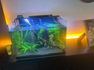 Aquarium with new JBL pump