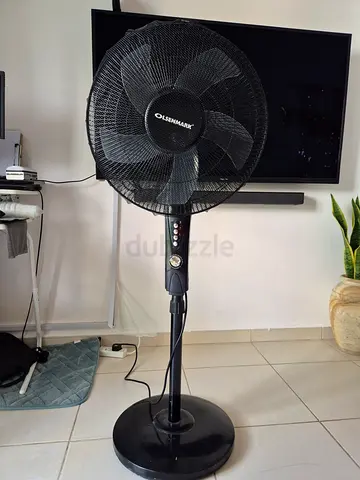 Fan