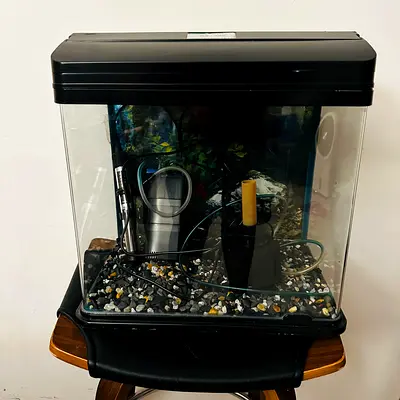 Fish Tank