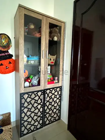 Tall Display Cabinet with Glass Upper Doors and Decorative Lower Panels