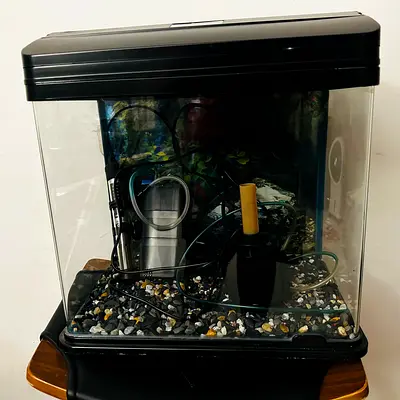 Fish Tank