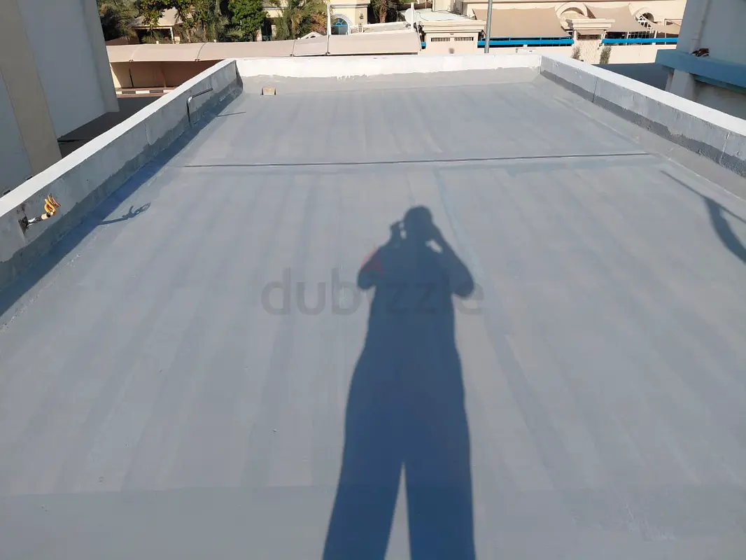 DPV_View_Image_2