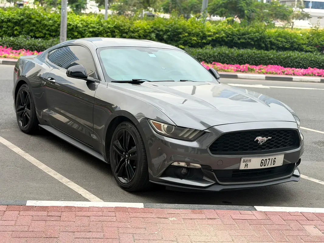 Ford Mustang 2016 — photo 1 of 17