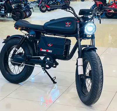 Worrier Retro Fat Electric Bike 48V 15Ah 1500W –