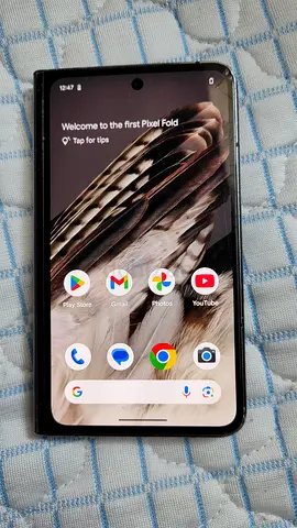 Google pixel fold