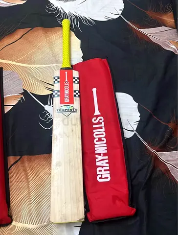 Cricket bat