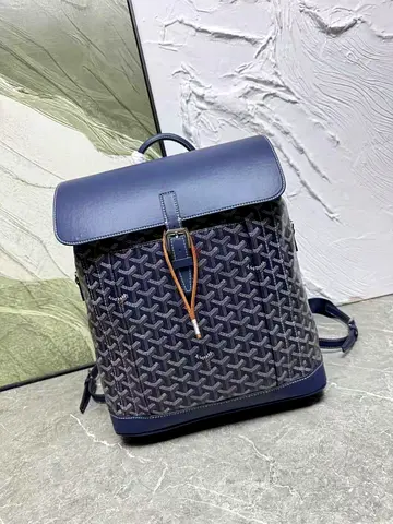 Goyard Alpin monogram backpack 🎒