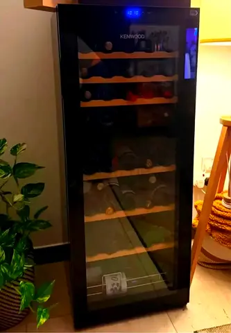 Kenwood dual temp wine fridge