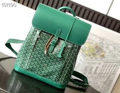 Goyard Alpin monogram backpack 🎒
