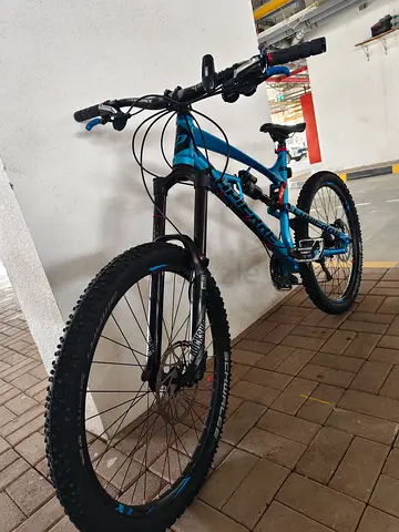Mountain Bike Downhill