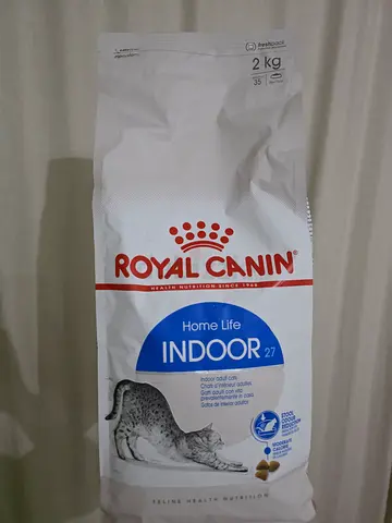 Cat food, Cat teasers and Cat Litter