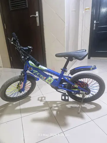 Kids Blue 14-inch Bicycle with Training Wheels