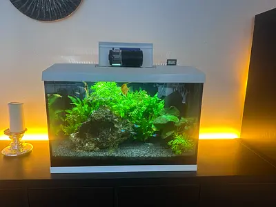 Aquarium Juwel Primo 70 new