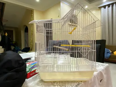 Bird cage