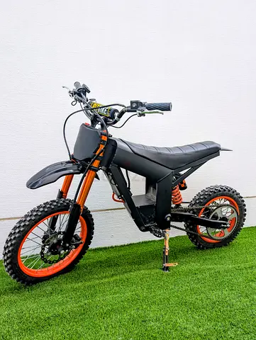 Kugoo Wish 01 Electric Bike (Upgraded)