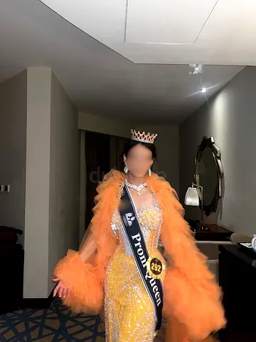 Prom/Pageant Gown USED ONCE