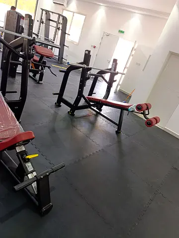 Commercial Bench Press and Workout Benches -