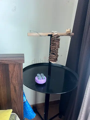 Wooden bird perch/stand with natural branch and rope